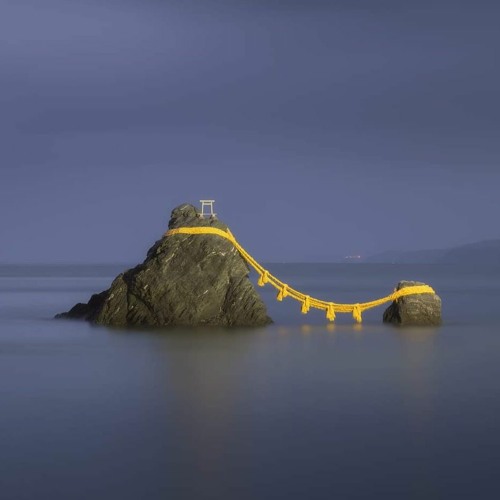 Queantum - Dans Un Rêve Égaré