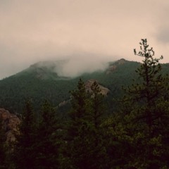 Blood Of The Divines