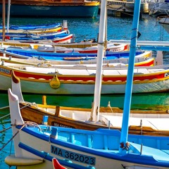 Water Music - mvts I II