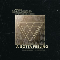 Navarro (BR) - A Gotta Feeling [WHLTD231] (w/ DTenorio, ROKKE)