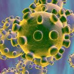B**** ta mère le coronavirus ! 2