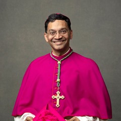 The Assumption of the Blessed Virgin Mary - Vigil Mass Homily