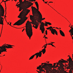 Trhä (US) — monta ana also — 2024 EP