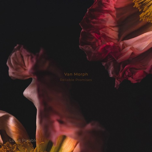 PREMIERE: Van Morph - Bad Dream [Lotus Parable]