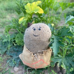 Suburban Bicycle Gang - Bud The Spud