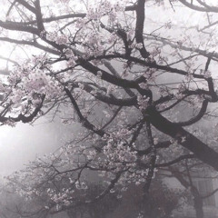Giatmophaitan | LilDra - Texest✰ |