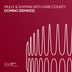 Mully & Shvman with Dare County - Domino (Leonard A Remix)