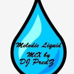 A Melodic Liquid mix by DJ PredZ - December 22