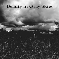 Beauty in Gray Skies