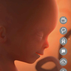 Dj.DamianR - Week fifteen