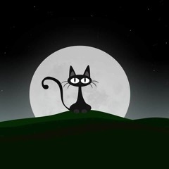 Boromsh@ My Vinyls Fuck Mp3 Minimal Tech house