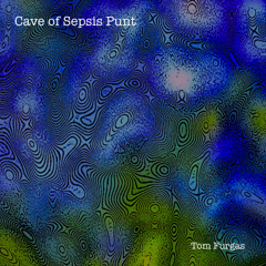 Cave of Sepsis Punt (Tom Furgas)