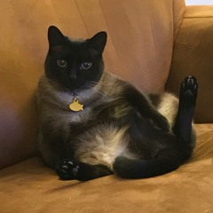 Better Than Now (Shut Up Dad, You're Not My Mom!)