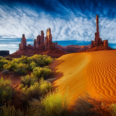 Arizona's Desert Muse