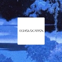 Te Quiere (Echolocation Remix)