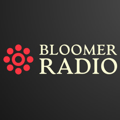 Bloomer Radio No. 00006