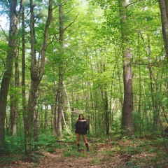 Stormchasing Thunder