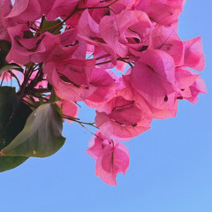 Elegy of the Whirling Wind