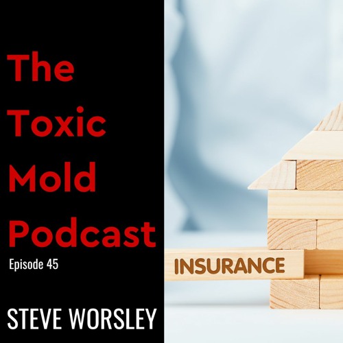 EP 45: Is your Insurance Company Rushing You Through the Mold Mitigation Process?