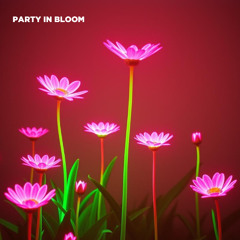 Volkoder - Party In Bloom (Original Mix)