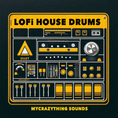 Mycrazything Records - Lo Fi House Drums