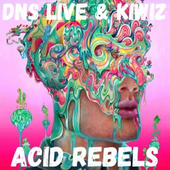 DNS Live & Kiwiz | Acid Rebels (Live Extract)