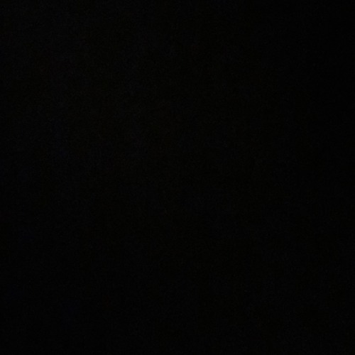 Dedication [ Splurcetti ]