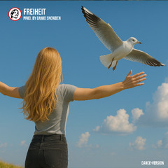 Freiheit (Dance Version) - Prod. by Dawid Snowden
