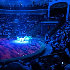 show n tell (XSPLIFFIC Beat)