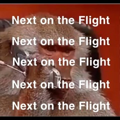 Next On The Flight