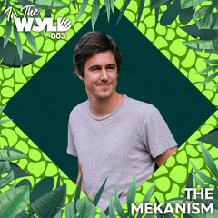 In The WYLD 003: The Mekanism