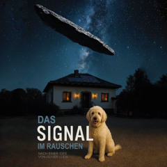 Das Signal im Rauschen_single_track - 28.08.25, 18.01