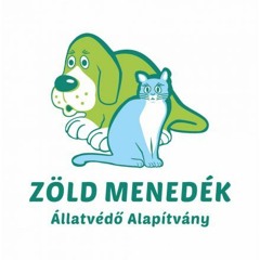 Zöld Menedék Állatvédő Alapítvány gyermeknap Vácott - Manna Délelőtt Péter Petrával 2023. 05. 18.