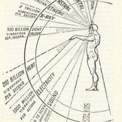 Völligst Irre Den Littlepoint Geschliefen