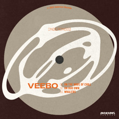PREMIERE: Veebo - On The Wave Of Chill [ONDERONS02]