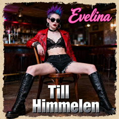 Till Himmelen