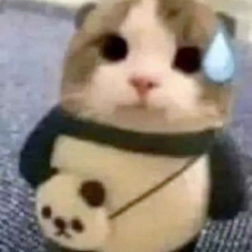 phia xa voi co anh dang cho