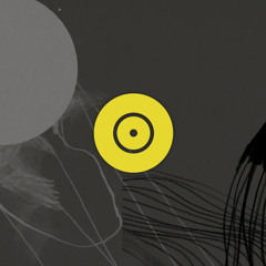 Related Bands, Work and Projects