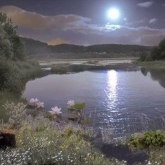 fucking with my mental (prod. knxwledge)