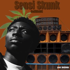 SENSI SKUNK (feat. BadiBinMC)