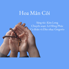 Hoa mân côi