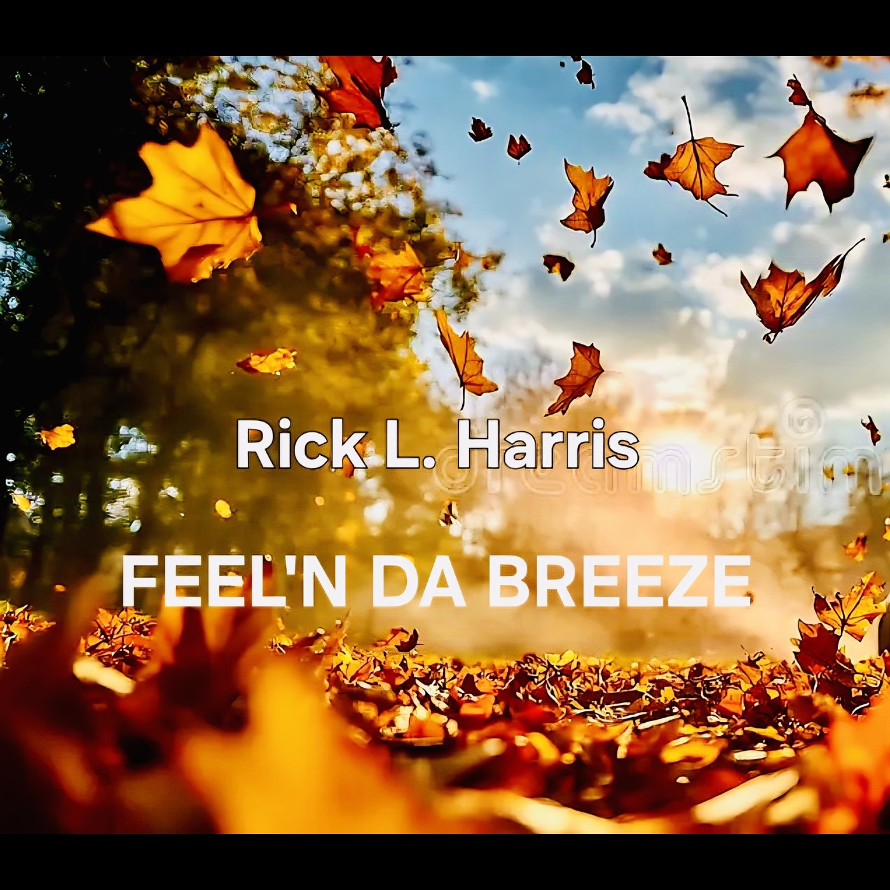 FEEL’N DA BREEZE (🍁) episode artwork