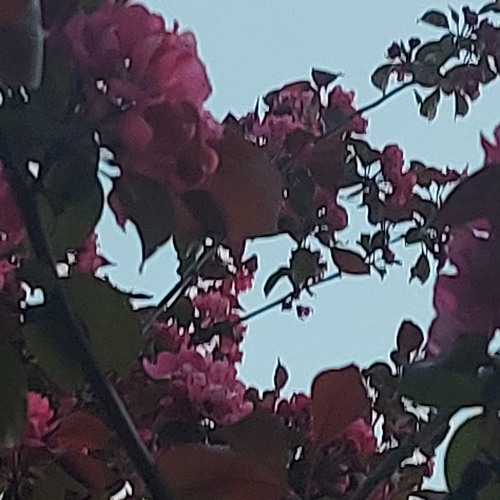 nothing left (feat. Fren, Grayskies)