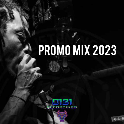 NATTY D JUNGLE DNB PROMO MIX 2023