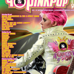 2manydjs - Pinkpop 29-5-09