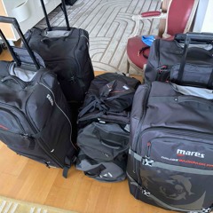 Socorro BELV Janvier 2026