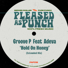 PREMIERE: Groove P Feat Adeva - Hold On Honey