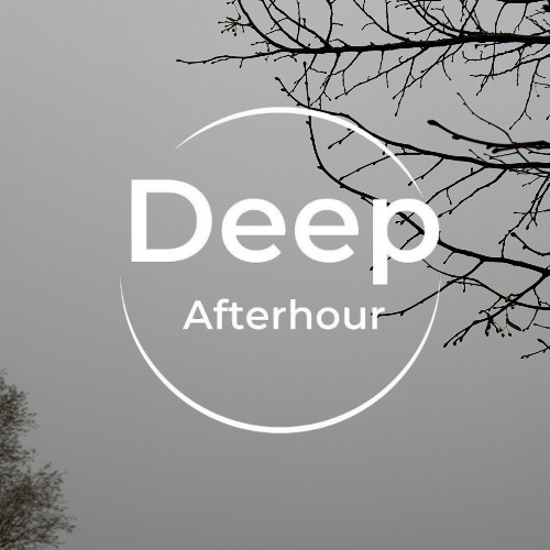 MHP - Deep Afterhour Nr. 401