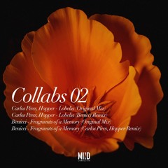 Benicci - Fragments of a Memory (Carlos Pires, Hopper Remix) (Mind Connector)