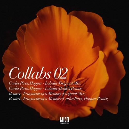 Benicci - Fragments of a Memory (Carlos Pires, Hopper Remix) (Mind Connector)
